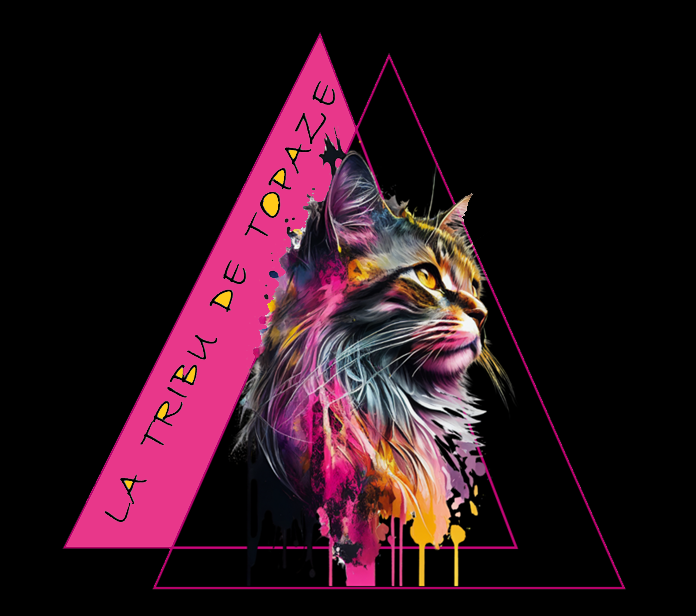 TOPAZE - LOGO Janv2025